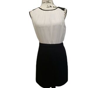 Loft 2 tone color block structured dress